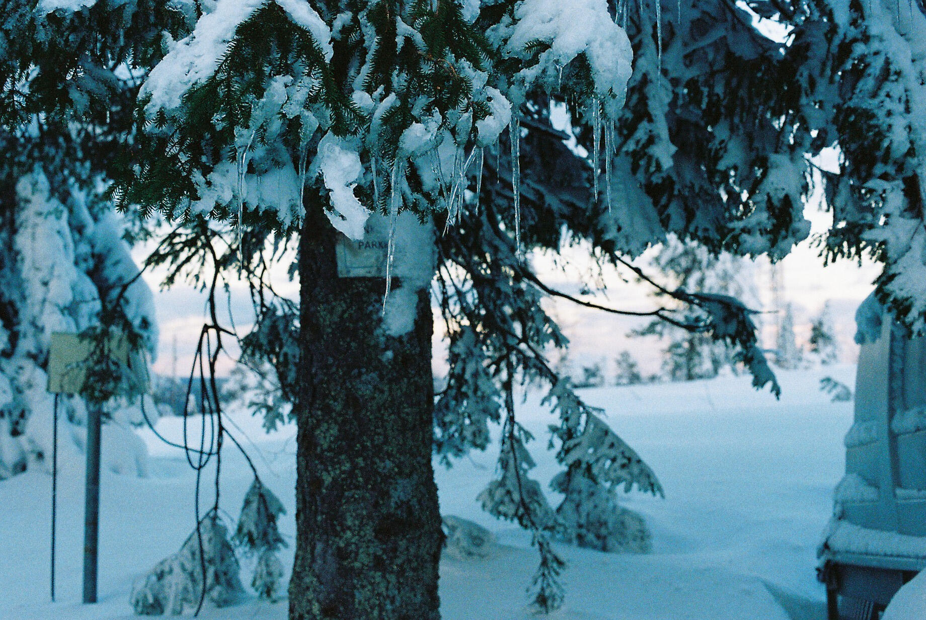 Quiet Icicles