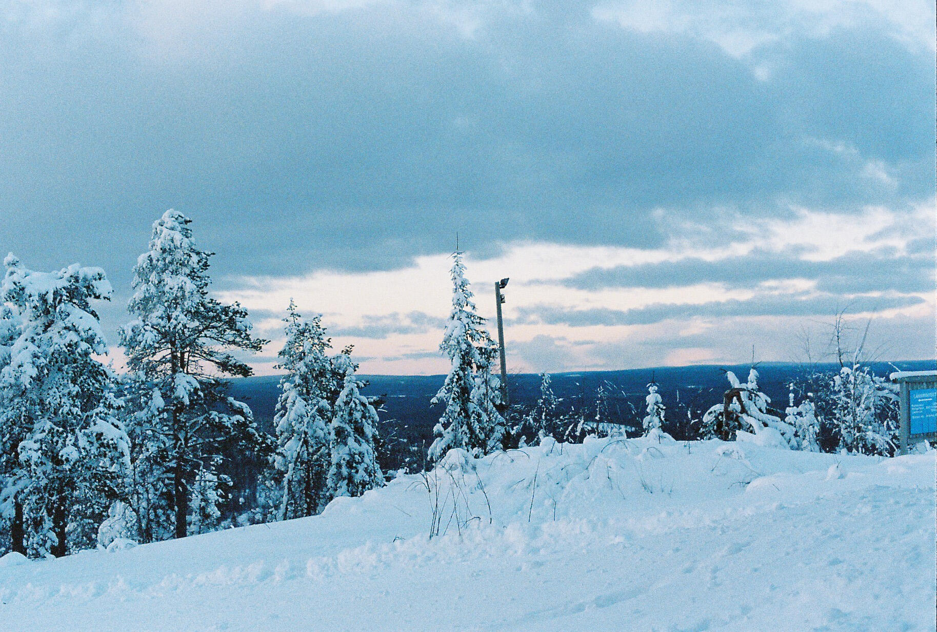 Winter Horizon