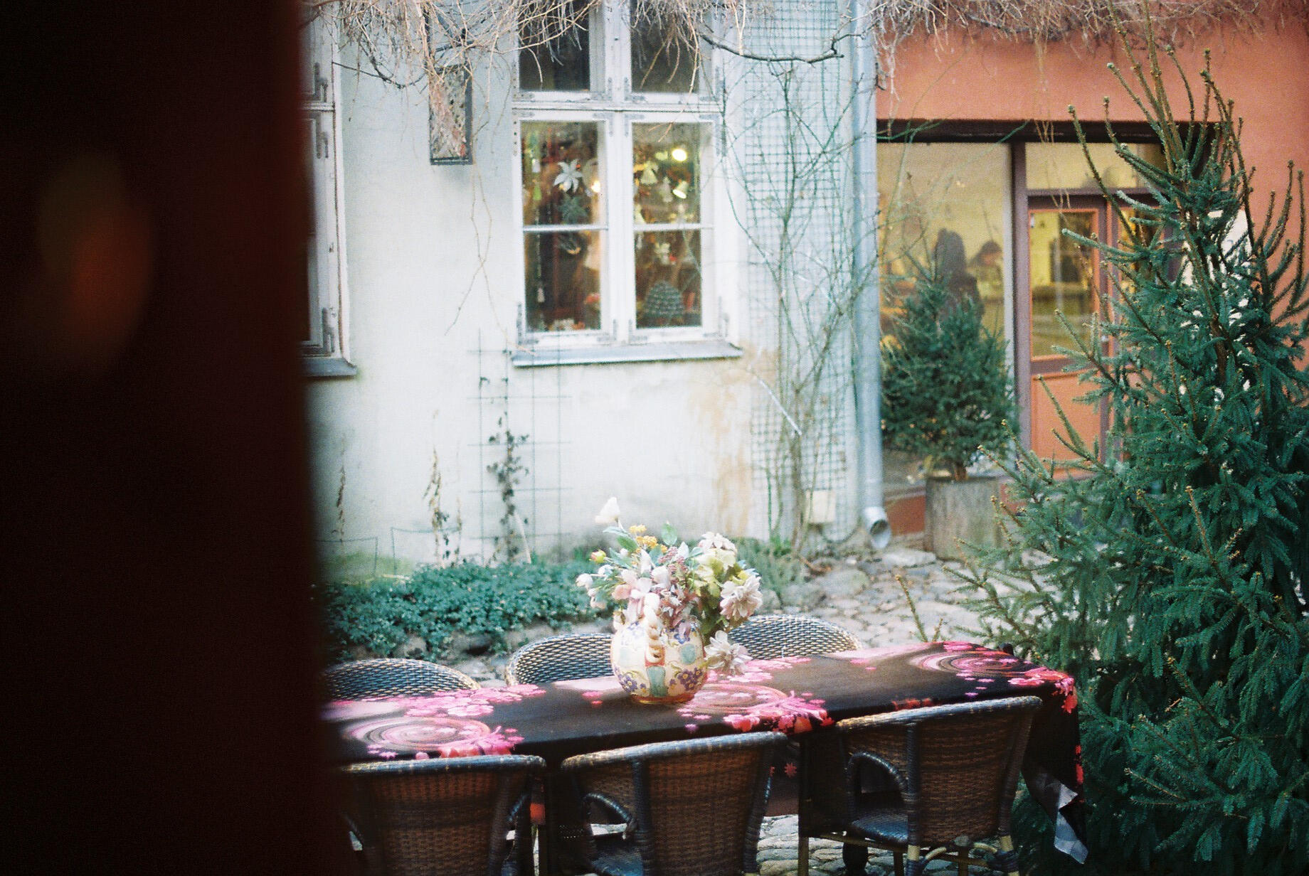 A Window of Sweet Scents